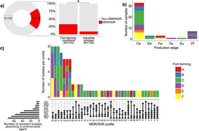 Escherichia coli as a sentinel in the assessment of antimicrobial resistance in the tilapia production chain: from production environment to the final product